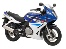Suzuki GS-F Carne 04->