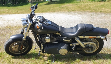 Photo vente  FAT BOB  1584
