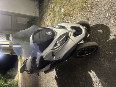 Photo vente Piaggio MP3  300