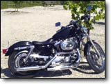 Harley Sportster - Bee Coeur