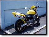 Honda Hornet 600 - Bruno