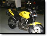 Honda 600 Hornet - Eric