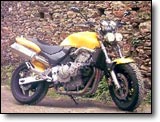 Honda 600 Hornet - Frederic P.