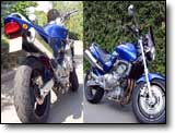 Honda 600 Hornet - Reveilo