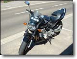 Honda 600 Hornet - Sophie