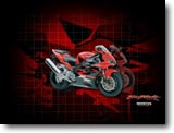 Honda CBR 954 - David