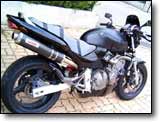 Honda 600 Hornet - Sylvie J.