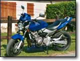 Honda Hornet 600 - Gude