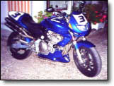 Hornet 600