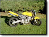 Hornet - Charles S.