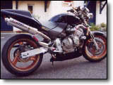 Hornet 600 - Jégé