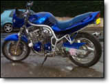 Bandit 600 - Walter Mounier