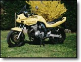 Bandit 600 - Christian L.
