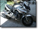 Bandit 600 - David S.