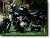 Bandit 600 - Alexandre Bunel