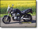 Bandit 600 - Bibi