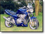 Bandit 600 - Olivier