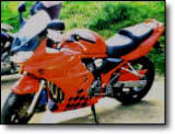 Bandit 600 - D. Lefevre