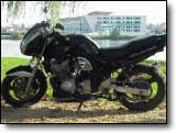 Bandit 600 - El Banditos