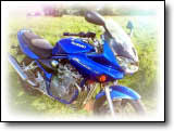 Bandit 600 - Eric Jenardou