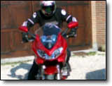 Bandit 600 - Furiweb