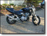 Bandit 600 - Iceman