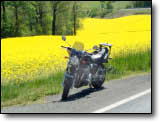 Bandit 600 - JP. V.