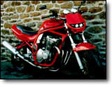 Bandit 600 - Karine