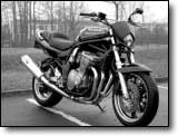 Bandit 600 - Christine Soussou