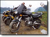 Bandit 600 - Maxime Crepin