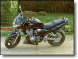 Bandit 600