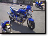 Bandit 600 - Nico