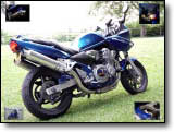 Bandit 600 - Road Runner