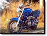 Bandit 600 - Charly