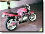 Bandit 400 - Alejandra Henao