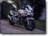 Bandit 600 - Fred