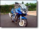 Bandit 600 - David M.