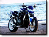 Suzuki GSR-1100 - David Le Ouf