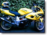 Suzuki TL 1000 S - Chris