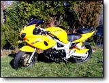 Suzuki 650 SVS - Montoya