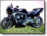 Suzuki GSXR 1100 - Theo P.