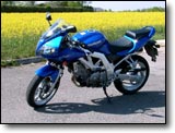 Suzuki SVS 650 - Damien V.