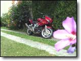 Suzuki SV 650 N - Iza L.