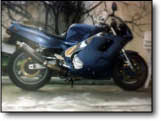 FZR 1000 - Pascual Alvarez