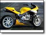 TDM 850 - Vince