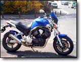 Yamaha Bulldog - Fabien