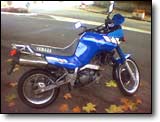 Yamaha Ténéré 660 - Maurice V.