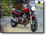 Yamaha 600 Diversion - Christiane B.