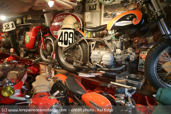 On retrouve également des Harley