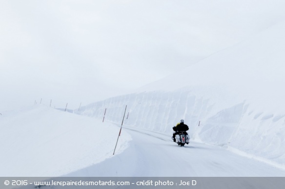 Grizzly : la Siberie en hiver en Victory